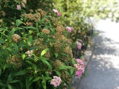 -兰溪青年公园