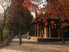 -兴教寺