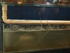 -渔满仓海鲜楼