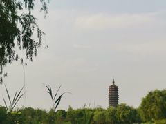 -西海子公园