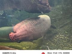 -青青世界