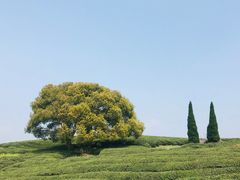 -山沟沟景区