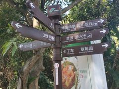 -老虎沟生态农场