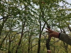 -终南山南五台景区