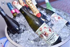 -上海明天广场JW万豪酒店·宴会厅