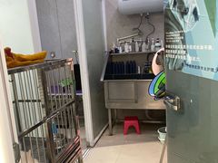 -福懋动物医院·犬猫全科·外科·重症科(杏林分院)