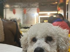 -一煲鸽
