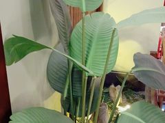 -解家河南菜(金水路店)