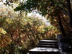 -周口店坡峰岭风景区
