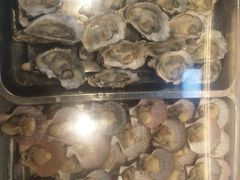 -老诚一锅羊蝎子(垡头店)