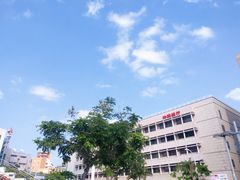 -国际通