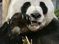 -栾川竹海野生动物园