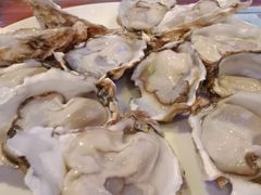 -千岛蚝高压锅生蚝·人参火锅(白云万达店)