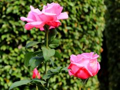 -人民公园(罗湖区)