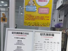 -爱洗澡的猫(天河路店)