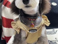 -FAELING PETS美天灵宠物(合生汇店)