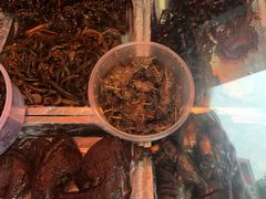 -火星杨眼镜酱菜(东塘店)