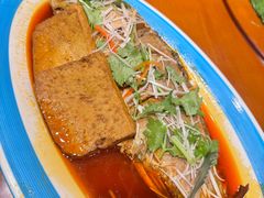 -蒙古大营(朝阳公园店)