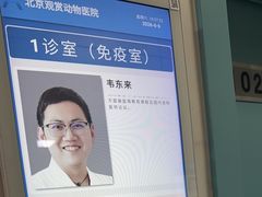 -北京观赏动物医院·24小时大型综合·猫专科·异宠专科