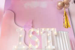 -瑞贝生日派对宝宝宴策划