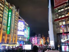 -BUS TOUR观光巴士