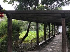 -上海醉白池公园