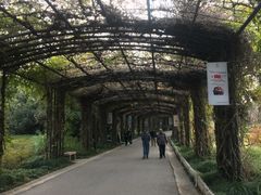 -百丽宫影城(CGS激光苏宁广场店)
