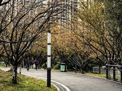 -苏州河梦清园环保主题公园