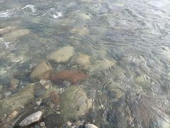 -海窝子古镇