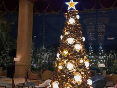 -翡翠36酒吧(浦东香格里拉店)