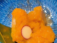 -黑松白鹿(崇文门新活馆店)