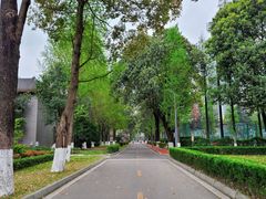 -四川大学(华西校区)