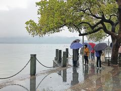 -西湖外事游船(湖滨二公园外事游船码头)