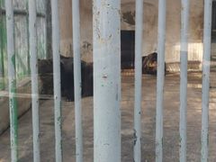 -祥源·阜阳生态乐园