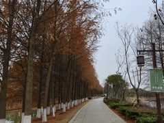 -苏州太湖国家湿地公园