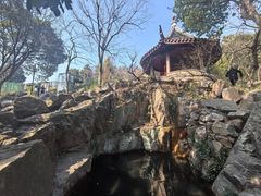 -香雪海