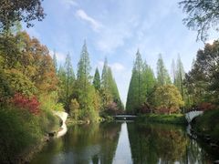 -东平国家森林公园