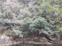 -白云源风景区