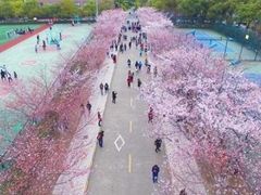 -同济大学(沪西校区)