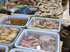-大湾区中央湿地公园-十九涌