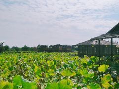 -军山湖云水间水上餐厅(进贤店)