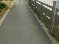 -嘉定紫藤园