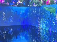 -中国湿地博物馆