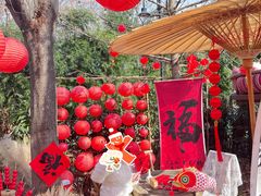 -HERRE·FARM 赫尔露营农场·团建聚会包场