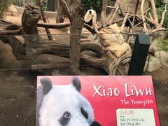 -圣地亚哥动物园