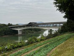 -福建鲤鱼洲酒店