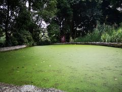 -成都市活水公园