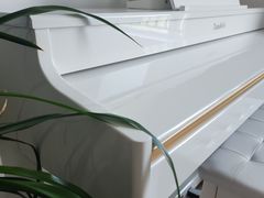 -大连体育中心体育馆