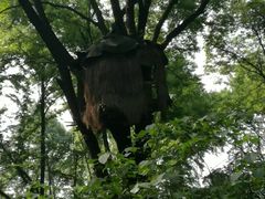 -桂林古东瀑布景区