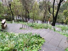 -重庆平顶山公园